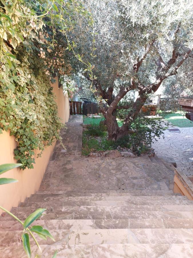 L'Orchidea Villa Capitana Eksteriør billede